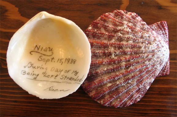  Niau shell 