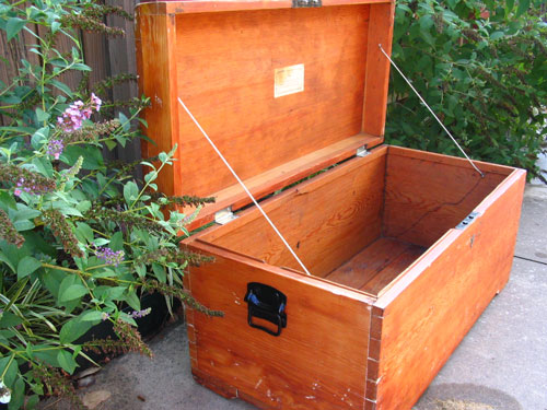  Camphor box 